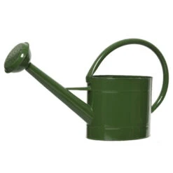 Decoris Gieter - Groen - Zink - 5 L