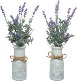 Decoris Set Van 2x Stuks Paarse Lavendula/lavendel Kunstplantjes 32 Cm In Witte Pot