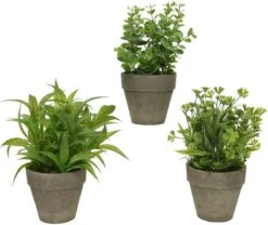 Decoris Plant In Pot Kunststof Ø20-H25cm Groen (1 Stuk) Assorti