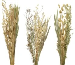 Decoris Boeket Droogbloem - Decoratie - 1x1x68 Cm Naturel Assorti