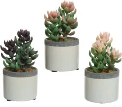 Decoris Kunstplant Vetplant In Pot Keramiek L7.5-B7.5-H14cm- Verkrijgbaar In 3 Verschillende Kleuren
