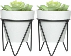 Decoris Vetplant - In Pot Op Standaard - Wit - 16 Cm - Planten Pot