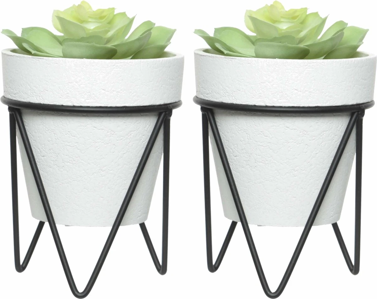 Decoris Vetplant - In Pot Op Standaard - Wit - 16 Cm - Planten Pot