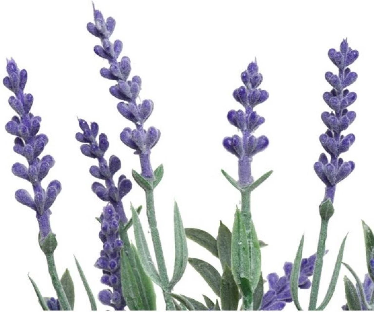 Decoris Set Van 2x Stuks Paarse Lavendula/lavendel Kunstplantjes 32 Cm In Witte Pot - Afbeelding 2