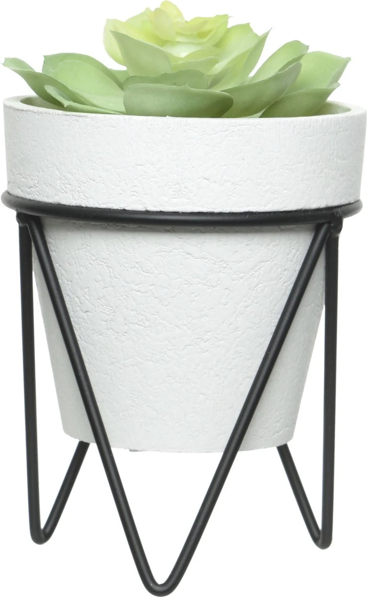 Decoris Vetplant - In Pot Op Standaard - Wit - 16 Cm - Planten Pot - Image 2