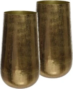 Decoris 2x Stuks Gouden Decoratieve Bloemenvazen Van Aluminium 20 X 37,5 Cm - Bloemen/takken Bloemenvaas Voor Binnen Gebruik